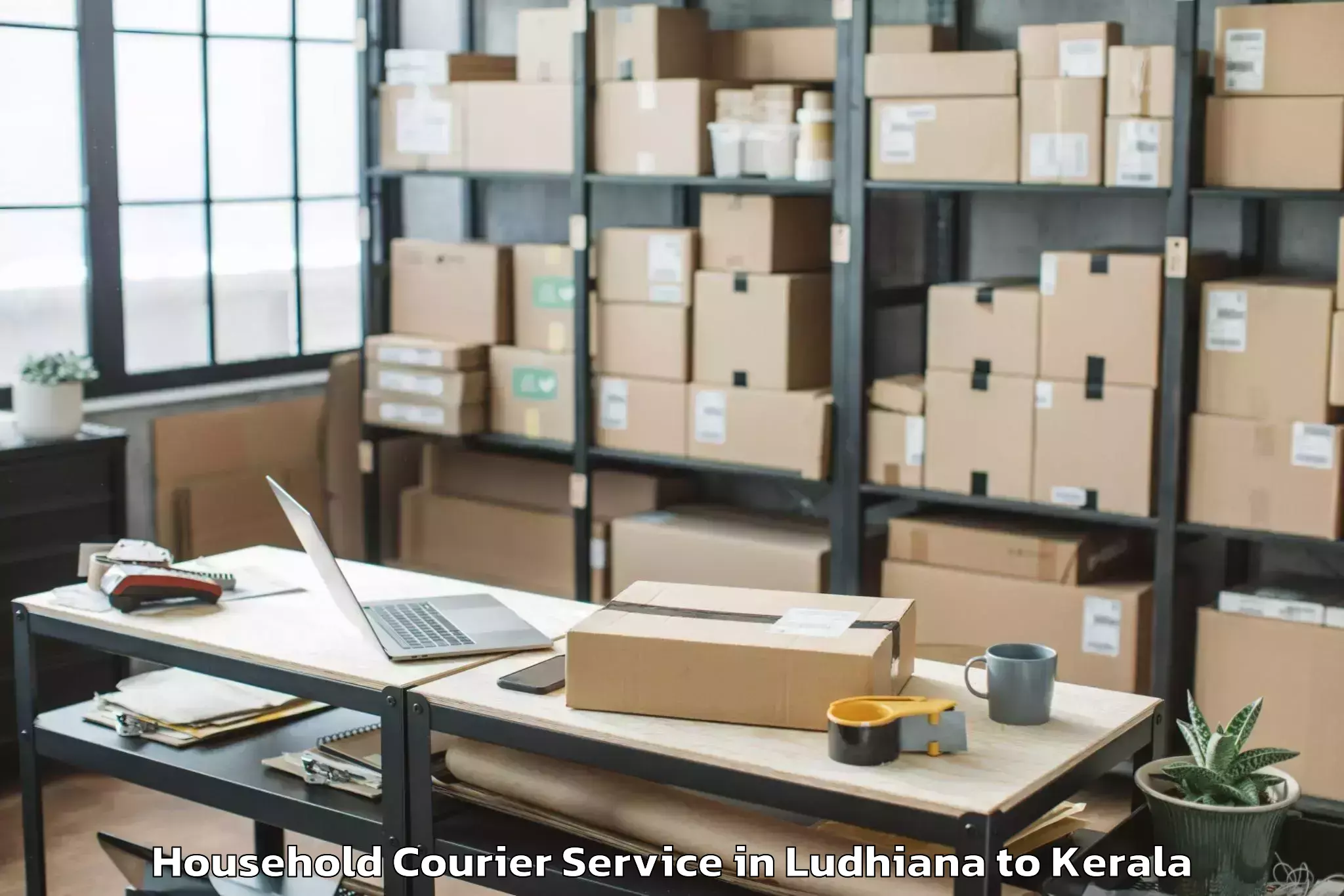 Top Ludhiana to Y Mall Thriprayar Household Courier Available